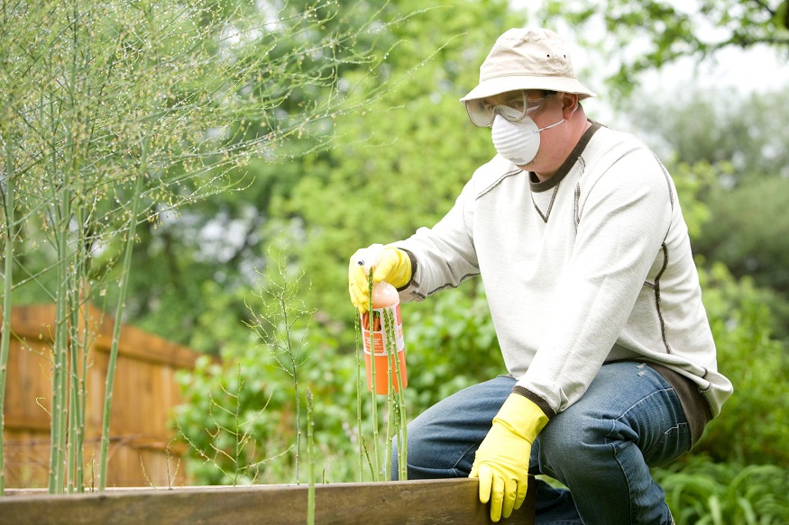 The Cost of Pests