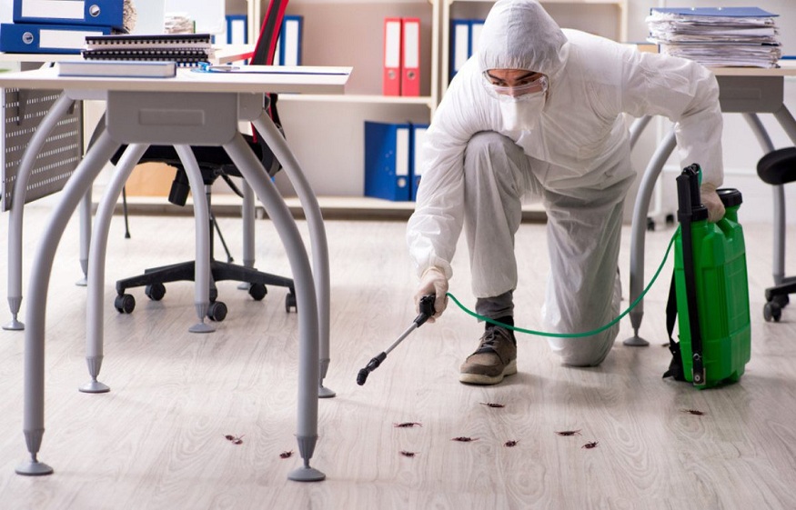 pest control