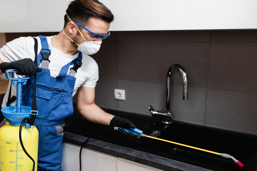 pest control company in Ashburn